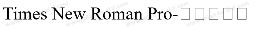 Times New Roman Pro字体转换